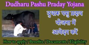 Dudharu Pashu Praday Yojana