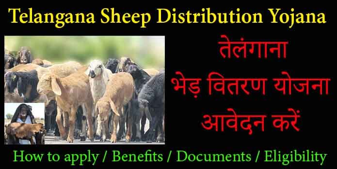 Sheep Distribution Scheme